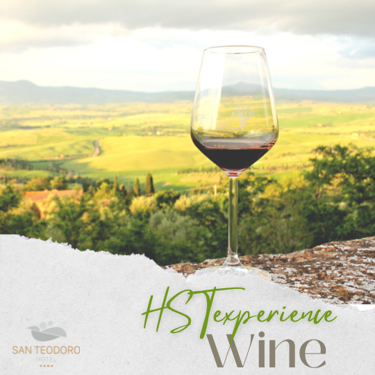HST Experience - Wine