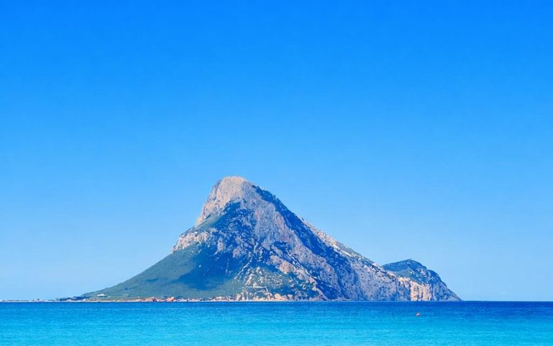 WhatsApp Image 2026-03-10 at 15.47.54